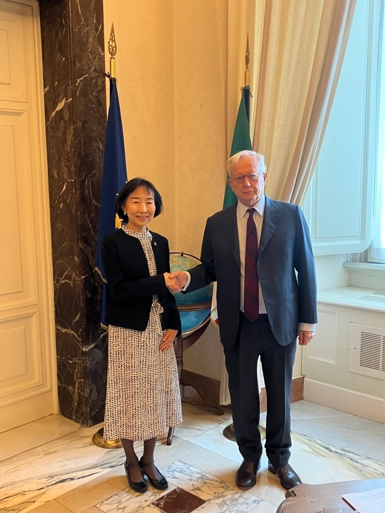 saluto_ambasciatore_On_Tremonti